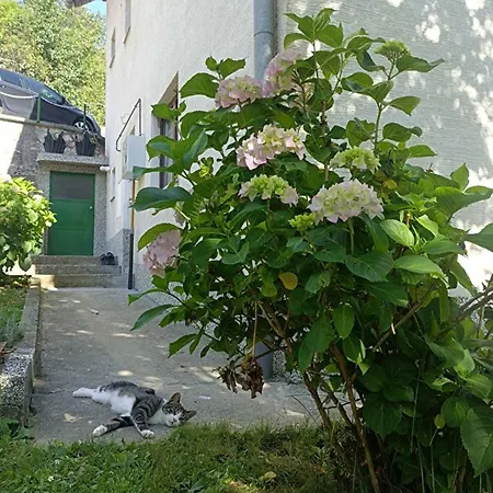 Rooms-Zejnep Sarajevo בית אירוח