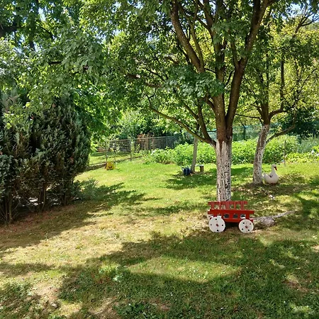 Rooms-Zejnep Sarajevo בית אירוח